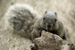 DSC00794 拷貝.jpg a