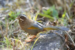 DSC00089 拷貝.jpg a