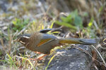 DSC00090 拷貝.jpg a