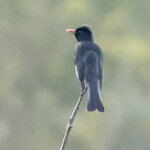 DSC00180 拷貝.jpg a