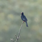 DSC00181 拷貝.jpg a