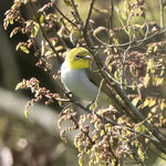 DSC00198 拷貝.jpg a