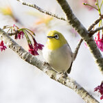 DSC00200 拷貝.jpg a