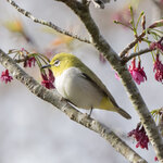 DSC00203 拷貝.jpg a