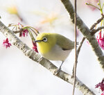 DSC00207 拷貝.jpg a