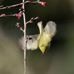 DSC00218 拷貝.jpg a