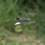 DSC02352 拷貝