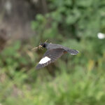 DSC02355 拷貝