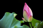 _DSC7815 b