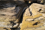 _DSC6398 b