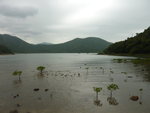 P1290162