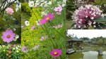 粉嶺公園