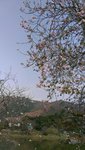 IMAG2258