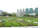 P1220037