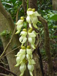 P1220244