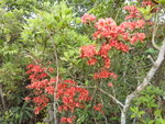 P1220253