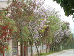 P1220261