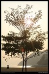 nEO_IMG_IMG_8331