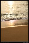 nEO_IMG_IMG_8365