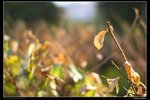 nEO_IMG_IMG_8541