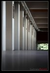 nEO_IMG_IMG_6746