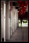 nEO_IMG_IMG_6748