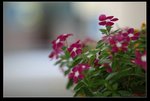 nEO_IMG_IMG_6757