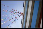 nEO_IMG_IMG_6758