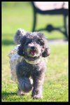 nEO_IMG_IMG_13703