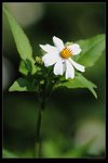nEO_IMG_IMG_13783