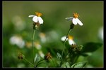 nEO_IMG_IMG_13803