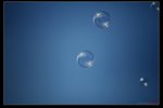 nEO_IMG_IMG_17214