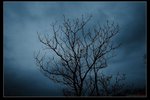 nEO_IMG_IMG_02002