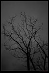 nEO_IMG_IMG_02022