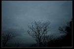 nEO_IMG_IMG_02042