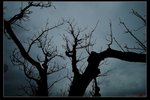 nEO_IMG_IMG_02072