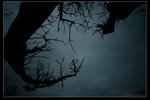 nEO_IMG_IMG_02112