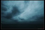 nEO_IMG_IMG_02172