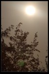 nEO_IMG_IMG_15513