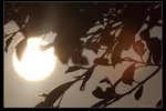 nEO_IMG_IMG_15523