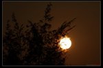 nEO_IMG_IMG_16073