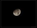 nEO_IMG_IMG_16983