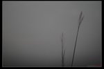 nEO_IMG_IMG_9696