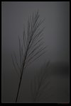 nEO_IMG_IMG_9697