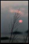 nEO_IMG_IMG_9721