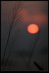 nEO_IMG_IMG_9765