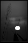 nEO_IMG_IMG_9774