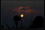 nEO_IMG_IMG_9786