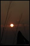 nEO_IMG_IMG_9835