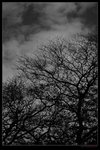 nEO_IMG_IMG_98701